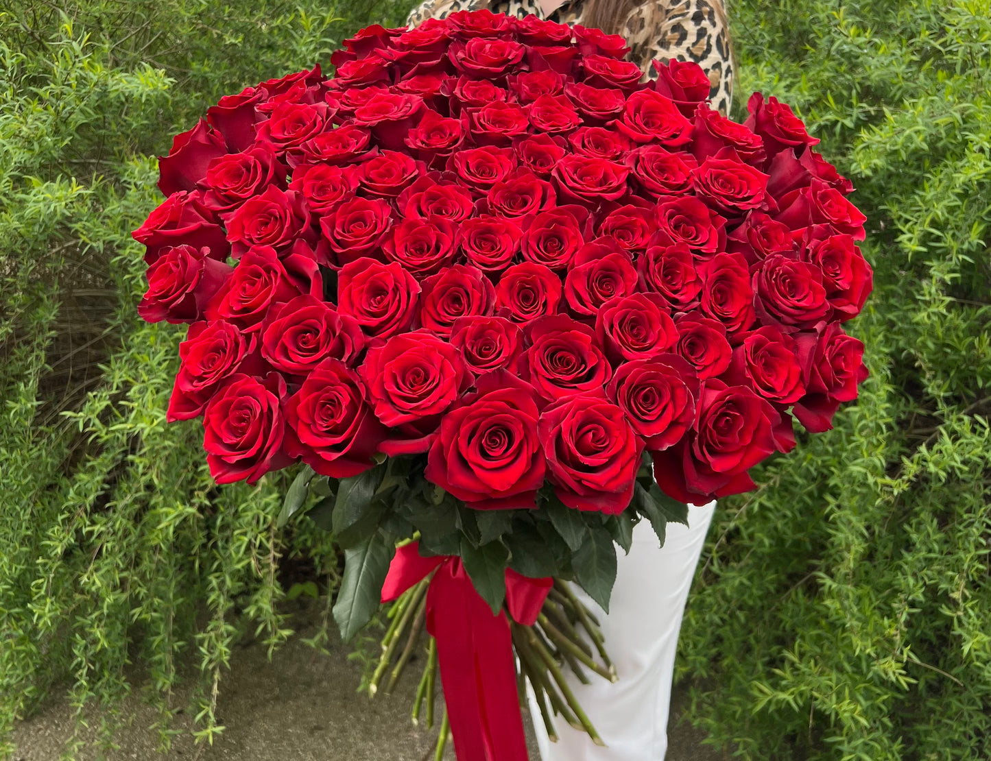 Premium Bouquet of Red Velvet Roses with Satin Ribbon