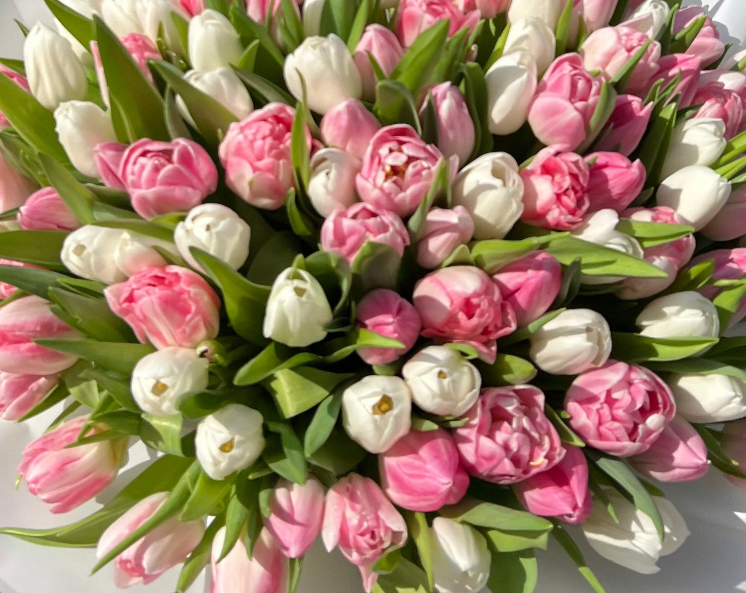 INTERNATIONAL WOMEN'S DAY