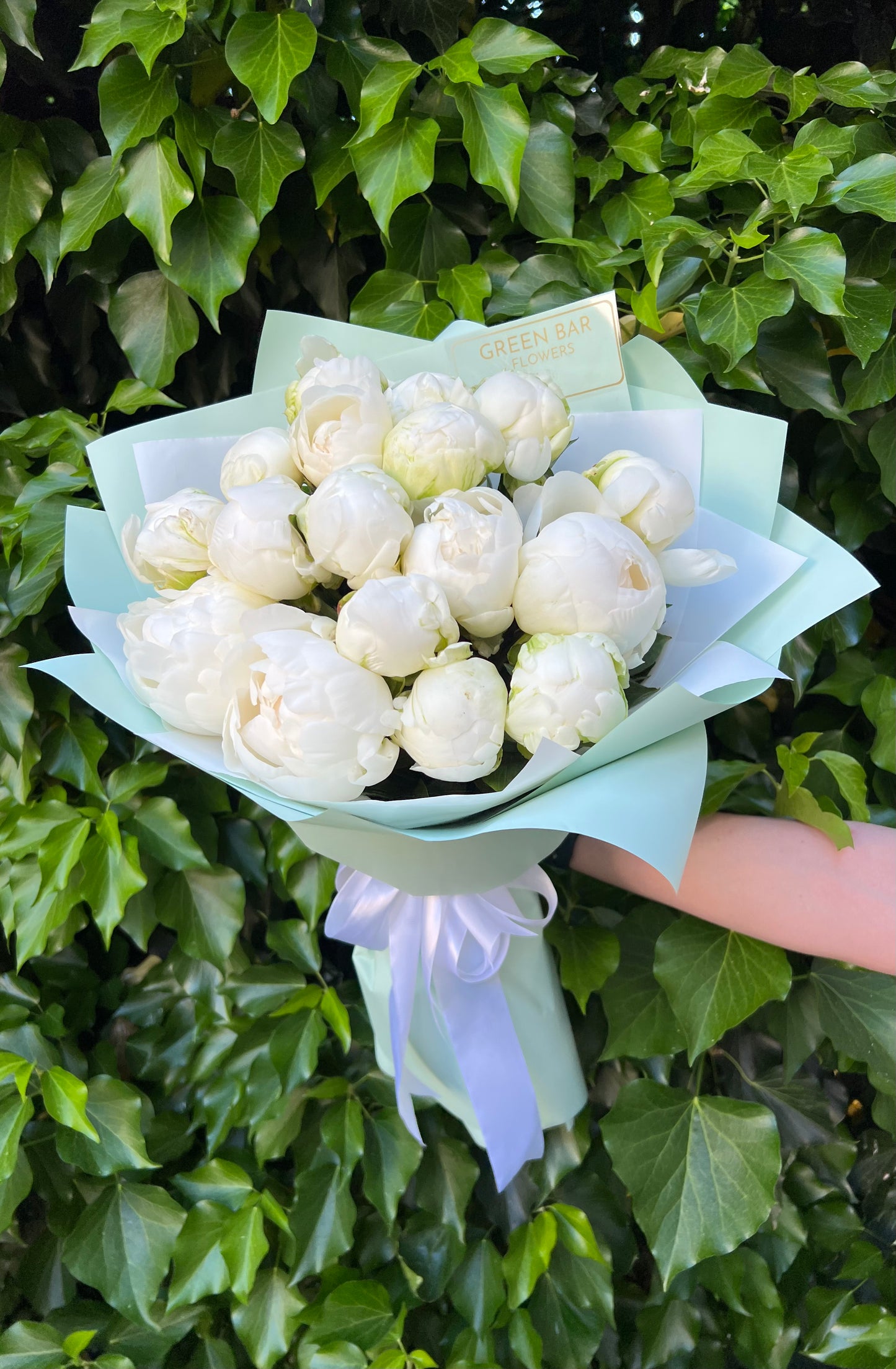 White Peony Cloud