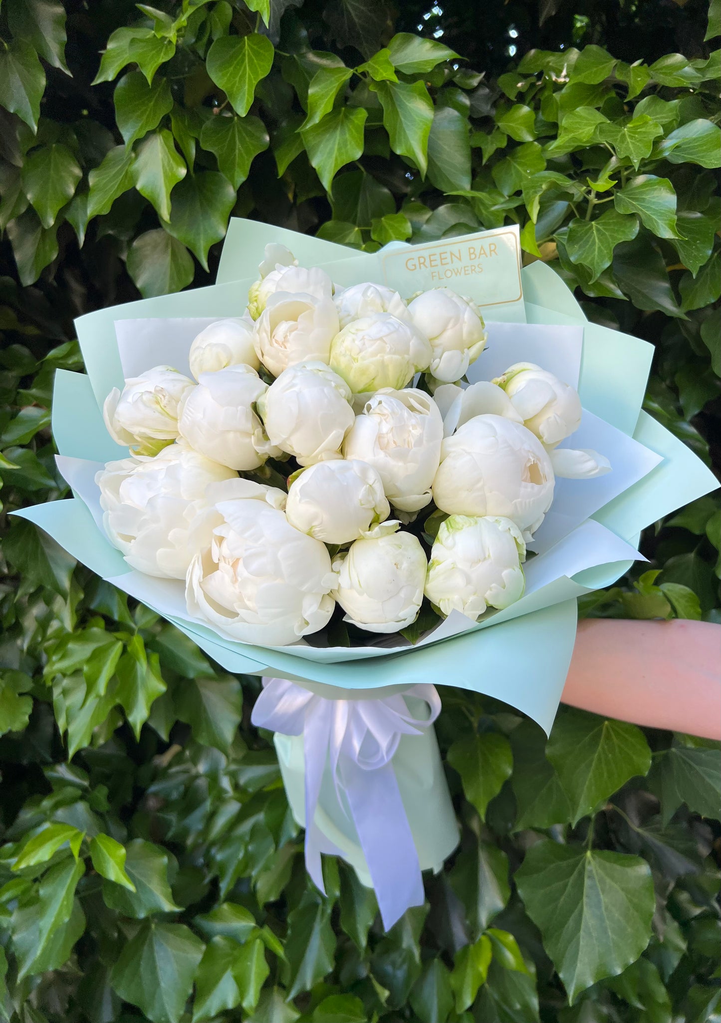 White Peony Cloud