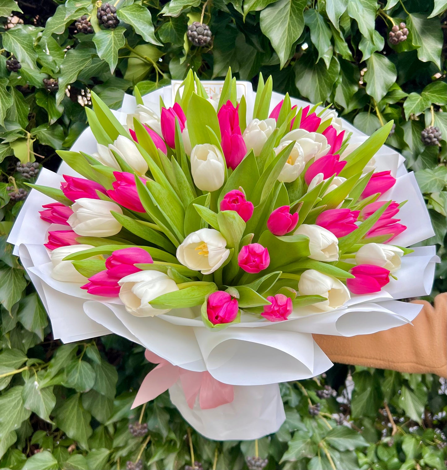 White & Pink Tulip Bouquet