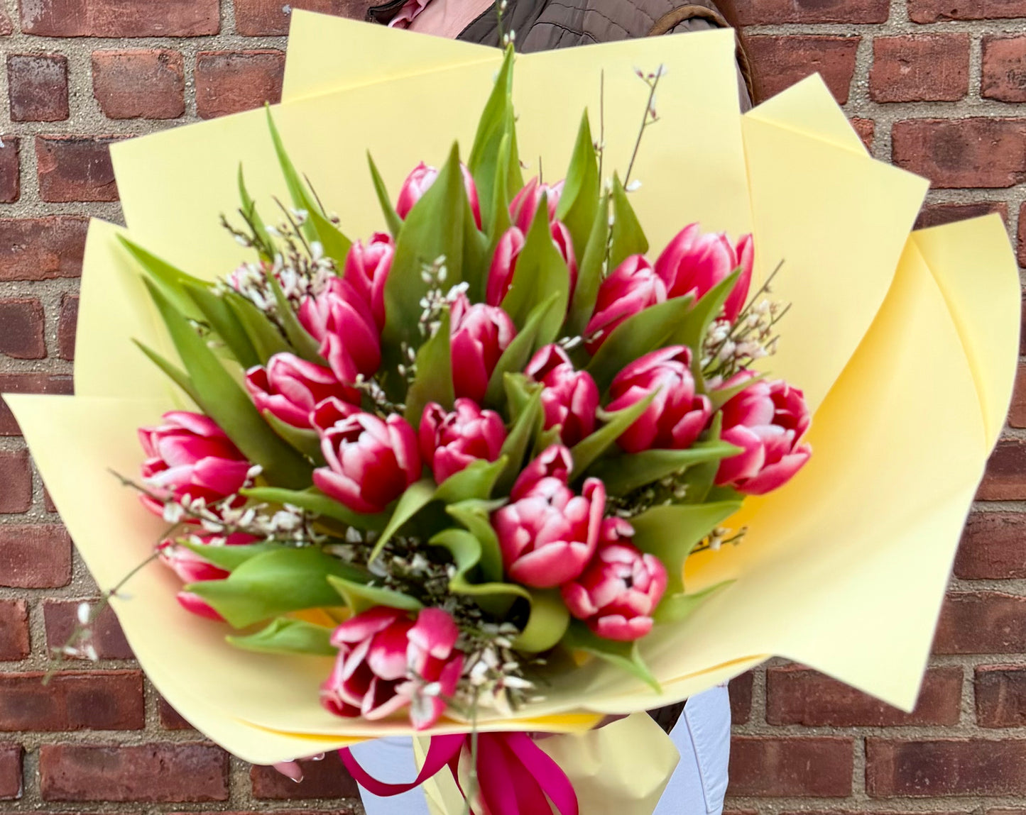 Pink Tulips