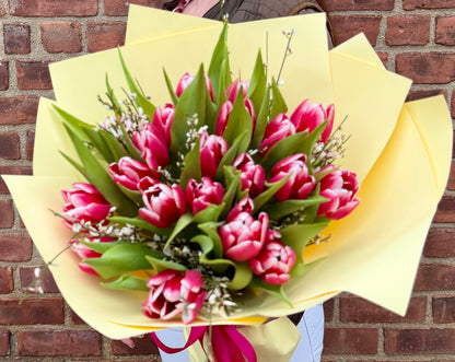 Pink Tulips