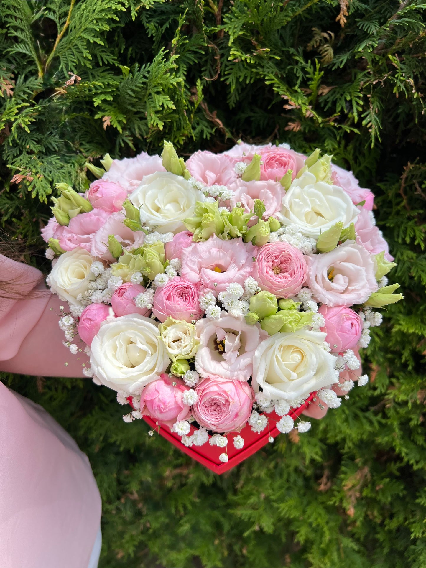 Heart of Blush