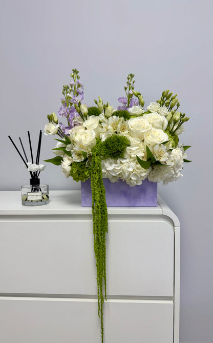 Lavender Dream