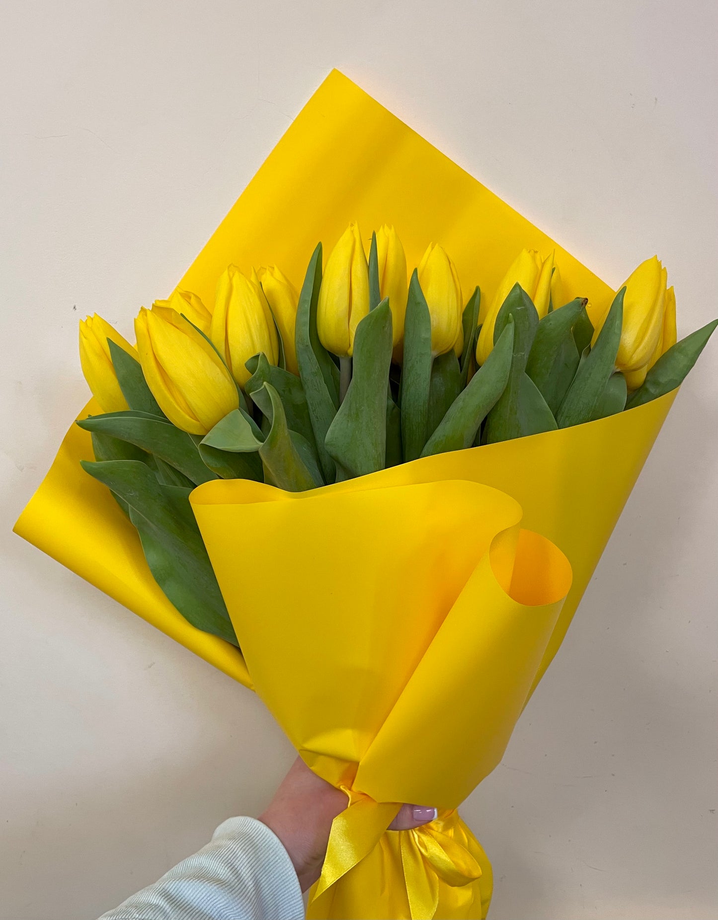 Sunny Tulips