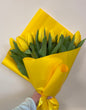 Sunny Tulips