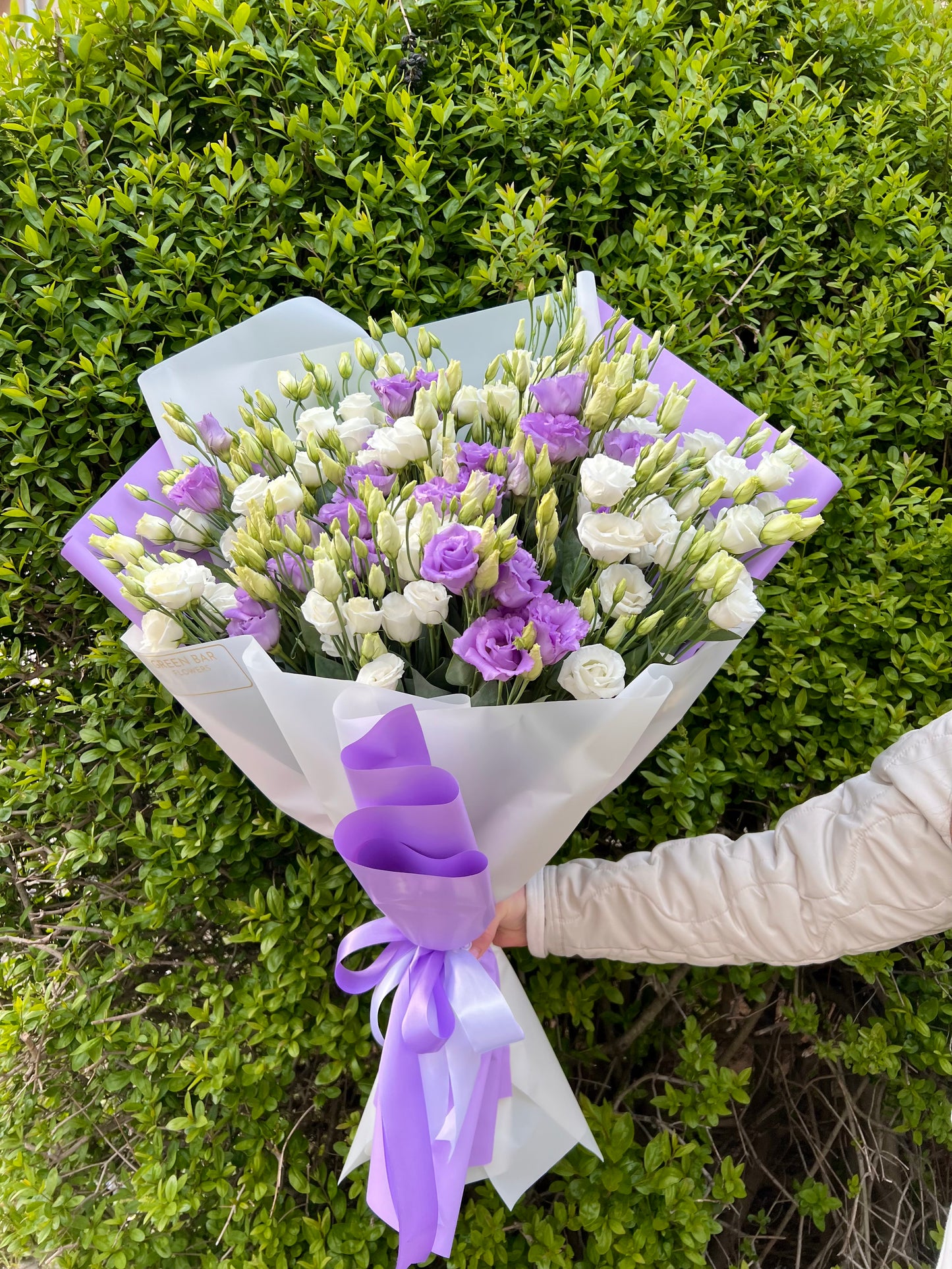 Lavender Whisper