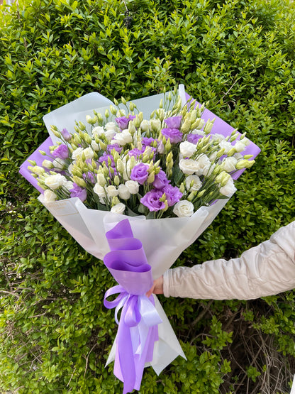 Lavender Whisper