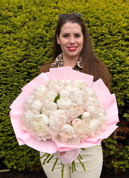 Blush Peony Cloud