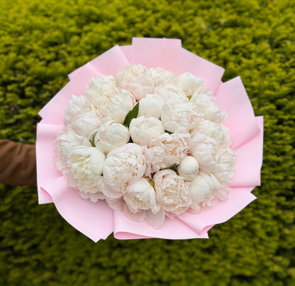 Blush Peony Cloud