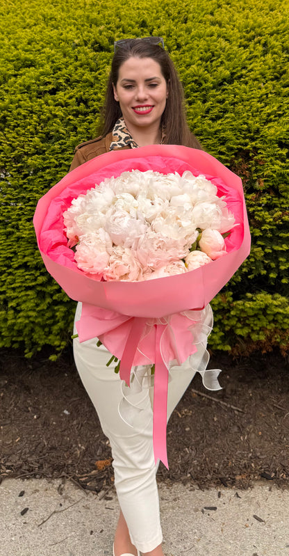 Blush Peony Dream