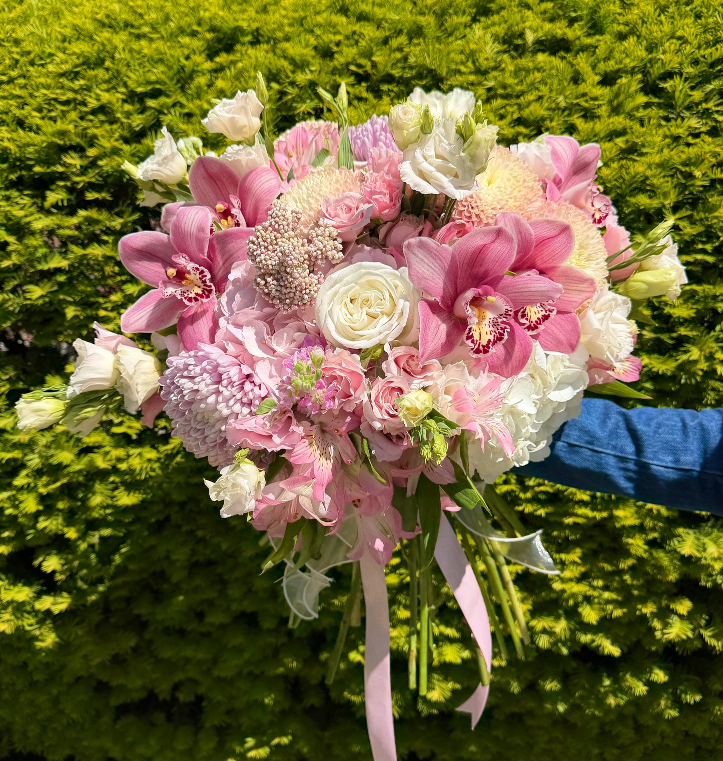 Pink Orchid Garden — Special Price