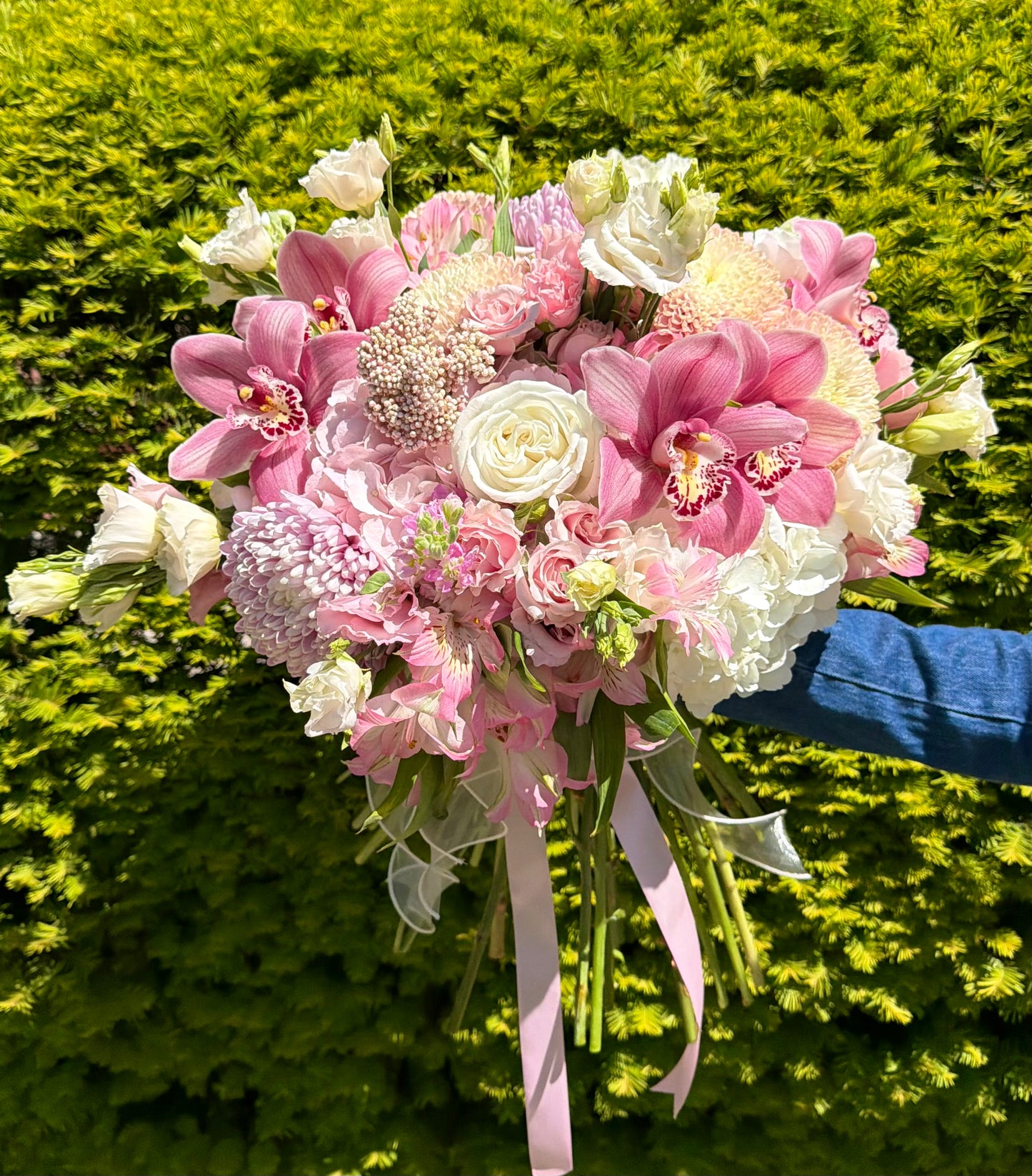 Pink Orchid Garden — Special Price