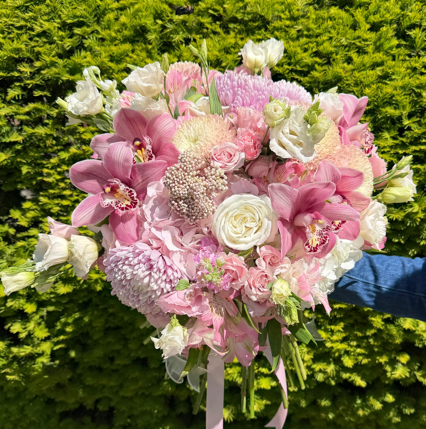 Pink Orchid Garden — Special Price