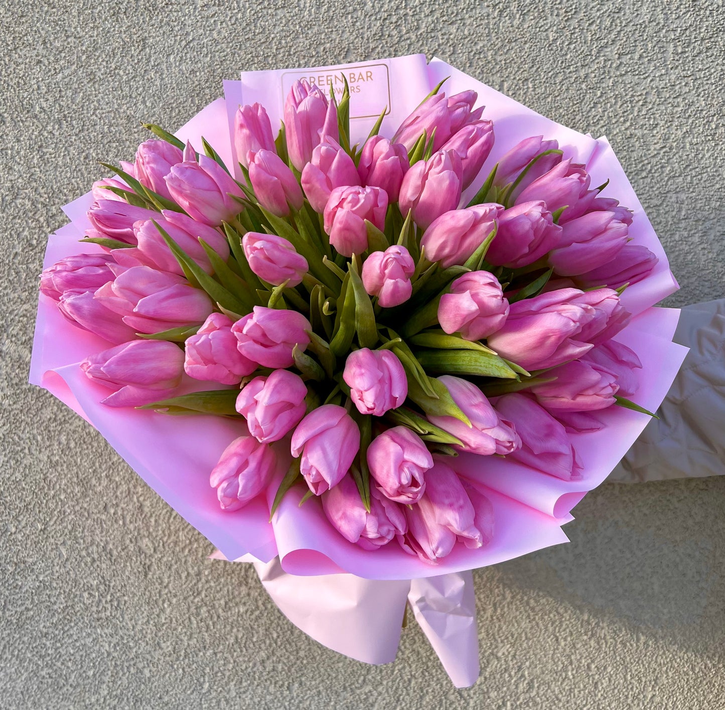 Sweet Pink Tulips
